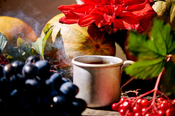 Natural cozy still life with mug of tea, grapes and viburnum in rustic style. Autumn aesthetic concept, red georgine. Cozy home with warm tea. Thanksgiving Day concept.