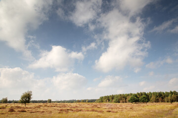 Obraz premium Country Walks in Norfolk