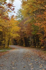 A country road in autumn, Sainte-Apolline, Québec, Canada