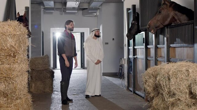 Bearded sheikh with kandura, the emirates traditional clothes, walking near his horses in the stable and discussing something with pleasure smile with his male instructor