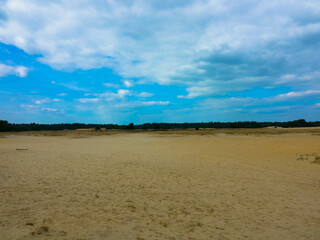 Panoramic view of a amazing open landscape with driftsand in the National Park Hoge Veluwe. Kootwijkerzand, Province of Gelderland, Netherlands. Place for text. Tourism and vacations concept. 