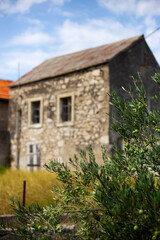 Fototapeta na wymiar Beautiful old traditional dalmatian house on Krapanj island in Croatia