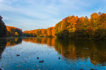 Obraz premium autumn in the park