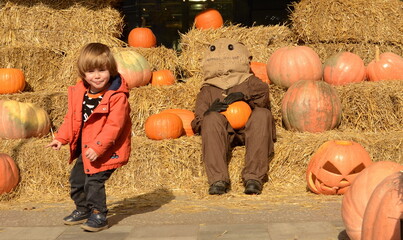 a little boy, 3 years old, at an autumn festival amongst haystacks and large pumpkins, sits next to a scarecrow.