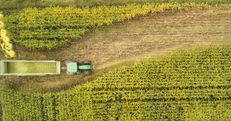 Landwirtschaftsmaschinen Traktor und Häcksler während der Maisernte