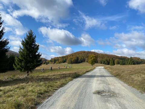 Beautiful forest road in Gorski kotar, Croatia in autumn