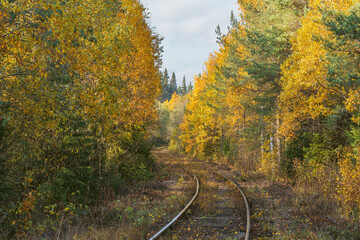 Long railway line in the forest at autumn day.