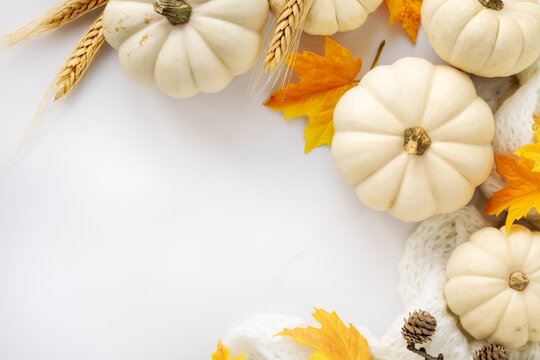 Hello Autumn or Happy Thanksgiving concept coposition with white pumpkins, knitted plaid and autumnal leaves. Overhead view with copyspace