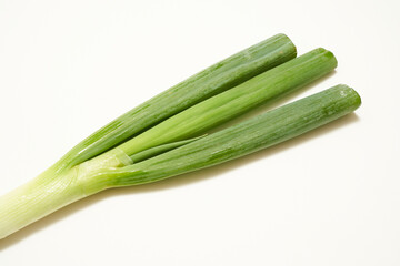 長葱　野菜