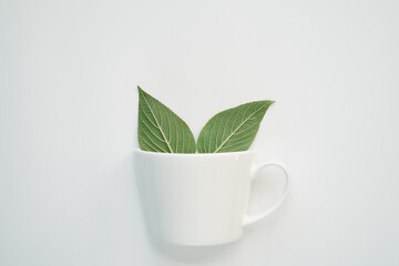 white cup with two leaves