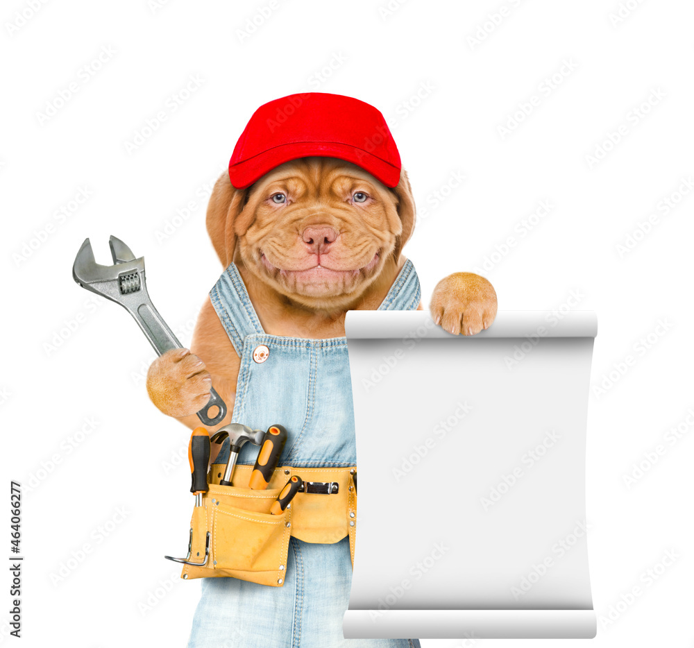 Poster Funny puppy wearing red cap and  overalls with tool belt holds adjustable wrench and shows empty list. Isolated on white background