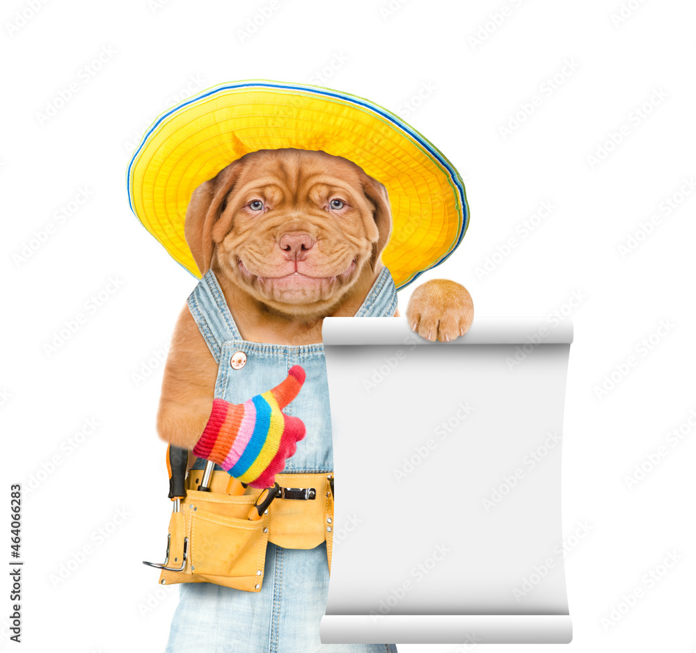 Poster Funny puppy wearing overalls with tool belt shows empty list and thumbs up gesture. Isolated on white background
