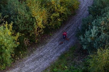 Frau bei Hundespaziergang von oben im herbstlichen Wald auf Forstweg
