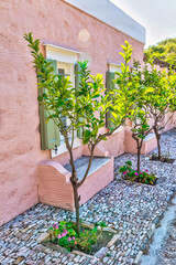 Cobbled Sidewalk . Side view  with planted trees. Pink house in the background. 