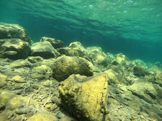 Underwater world of Mediterranean Sea. Near Marmaris, Turkey
