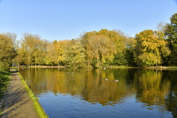 Beauté de l'automne de la végétation luxuriante le long de l'étang du parc Malou à Woluwe-St-Lambert 
