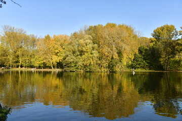 Fototapeta na wymiar Beauté de l'automne de la végétation luxuriante le long de l'étang du parc Malou à Woluwe-St-Lambert 
