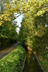 La Woluwe longeant un chemin pour la promenade en aval du moulin à eau de Lindekemale à Woluwe-St-Lambert
