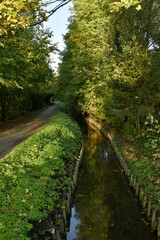 Fototapeta na wymiar La Woluwe longeant un chemin pour la promenade en aval du moulin à eau de Lindekemale à Woluwe-St-Lambert 