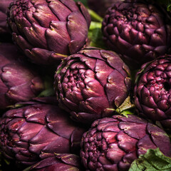 Obraz premium Artichokes - Violet Artichoke 
