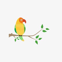 bird design illustration vector, bird parrot