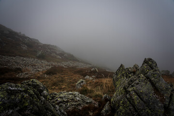Fototapeta na wymiar Wet large boulders covered with lichen and moss on a mountainside on a foggy day.