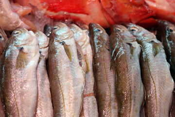 Fresh fish on local fish market. Beautiful raw fish close up photo. Healthy eating concept. 