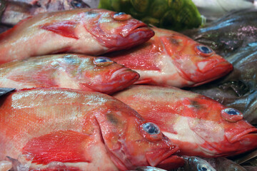 Fresh fish on local fish market. Beautiful raw fish close up photo. Healthy eating concept. 