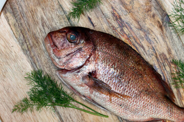 Uncooked Gilt-head bream on wooden board. Top view photo of fresh fish. Healthy eating concept. 