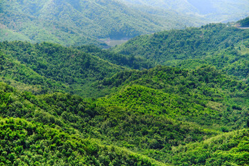 Obraz premium freshness green scenery mountain valley in day light in sunny season