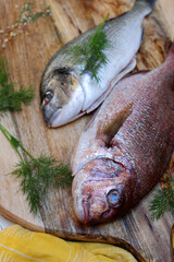 Dorada Fish or Gilt Head Bream on wooden cutting boar. Two types of Dorada Fish on a table. Top view photo of uncooked fish. 