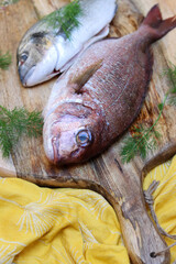 Raw Dorado Fish on a table. Two types of Sea Bream fish on wooden cutting board. Healthy meal preparation. 