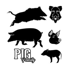 Pig Boar Hog Silhouette Set Vector Design Inspirasi