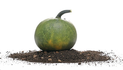 Green pumpkin and soil isolated on white background