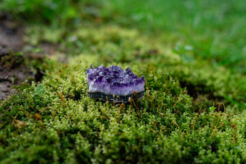 Beauterful purple ametist crystal close up on natural forest green moss background. Spiritual...