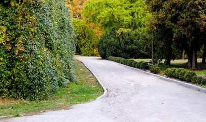 Autumn colorful landscape park