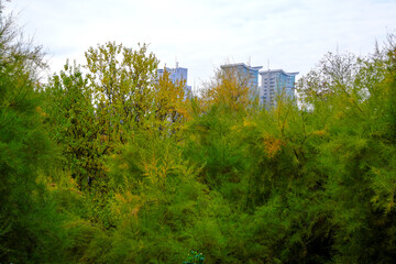 Autumn panoramic landscape