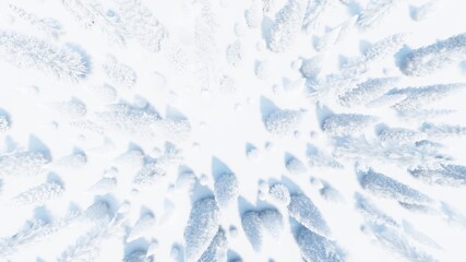 Winter background snowy christmas trees top view 3D rendering