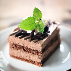 chocolate cake with mint