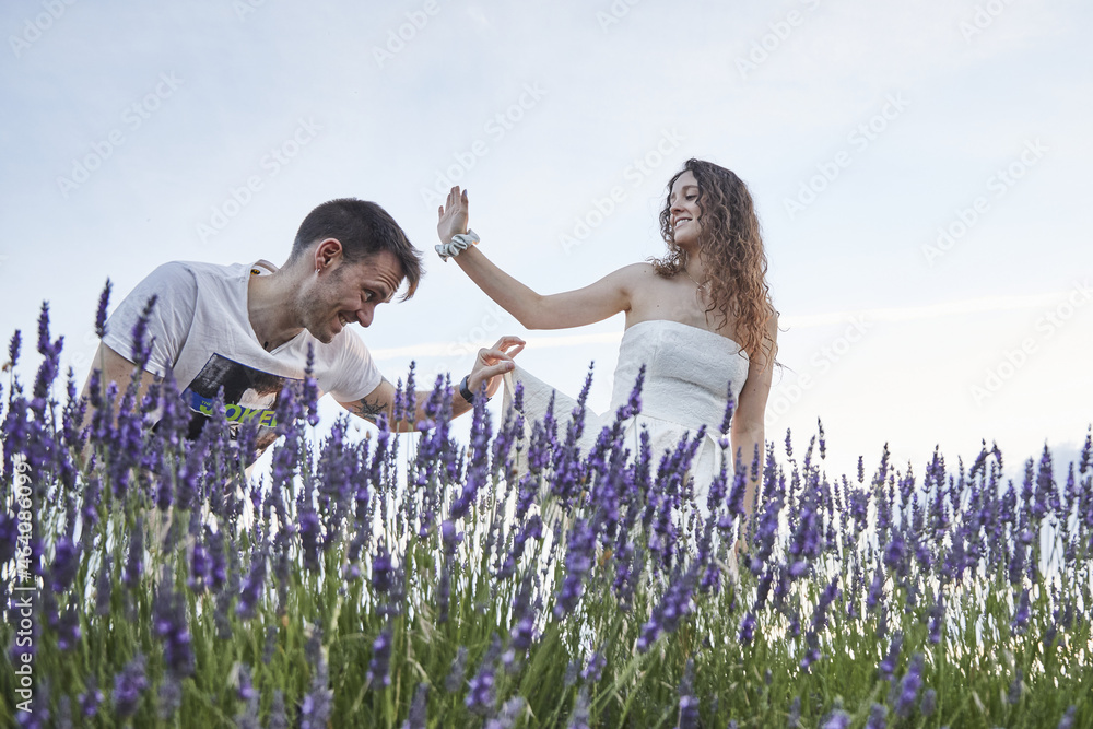 Poster Beautiful young couple in the lavender field.