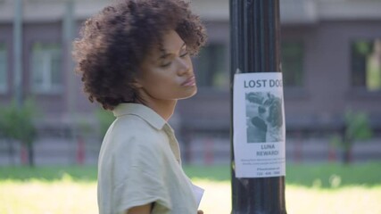 Animal shelter volunteer putting up missing dog poster with info about lost pet