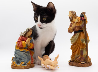 Small black and white cat playing with the figures of the Portal de Bel&eacute;n. Figures of the birth of Christ. Christmas decoration