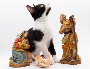 Small black and white cat playing with the figures of the Portal de Belén. Figures of the birth of Christ. Christmas decoration