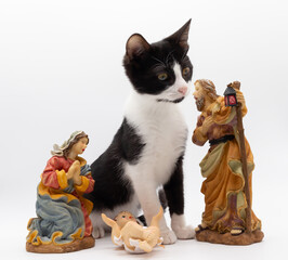 Small black and white cat playing with the figures of the Portal de Belén. Figures of the birth of Christ. Christmas decoration