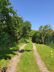 path in the park
