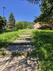 stone path in the park