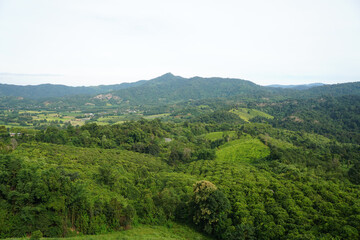 Fototapeta na wymiar Wonderful landscape of mountains in Phu Langka Forest Park, Phayao Province, Thailand