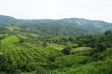Fototapeta na wymiar Wonderful landscape of mountains in Phu Langka Forest Park, Phayao Province, Thailand