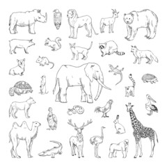 Collection of monochrome illustrations of animals in sketch style. Hand drawings in art ink style. Black and white graphics.