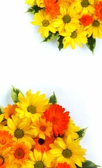 Yellow and orange flowers on a white background. Top view. A bright floral arrangement. Background for a greeting card.